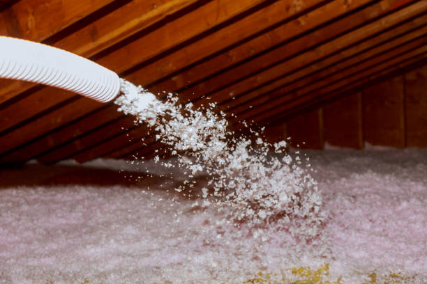 Best Eco-Friendly Insulation in Mount Gilead, OH