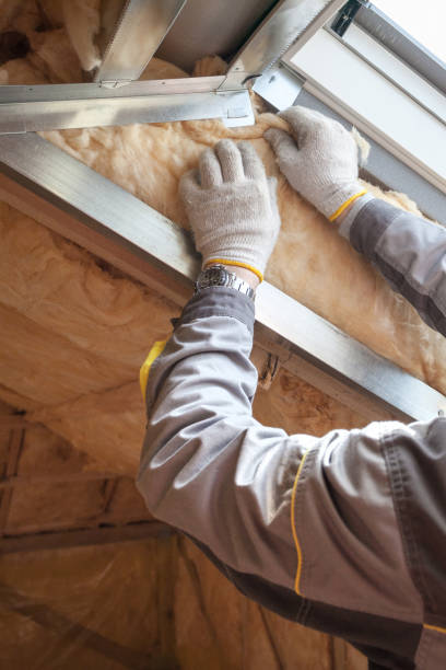 Best Geographic-Specific Insulation Services in Mount Gilead, OH